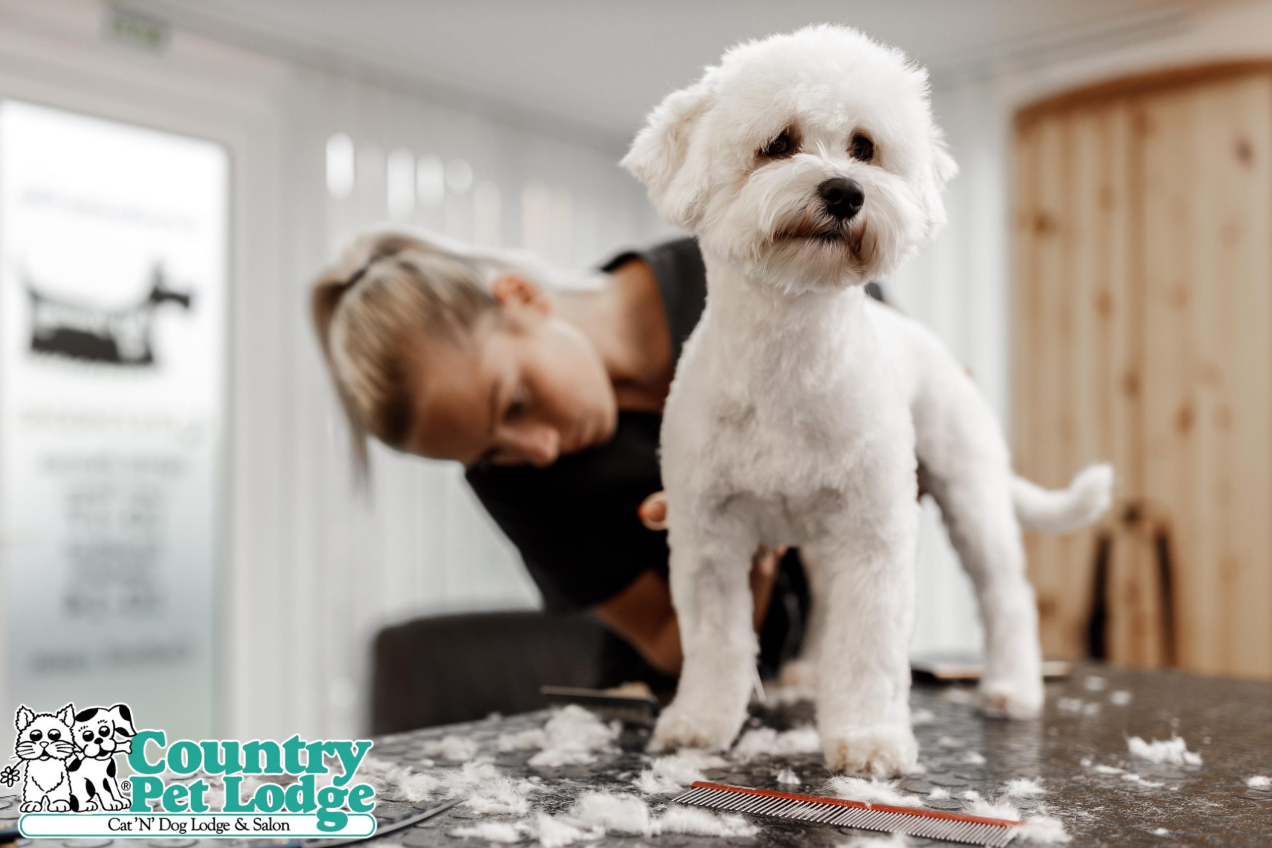 Country Pet Lodge - Pet Boarding, Pet Grooming, Dog Daycare - Country Pet  Lodge