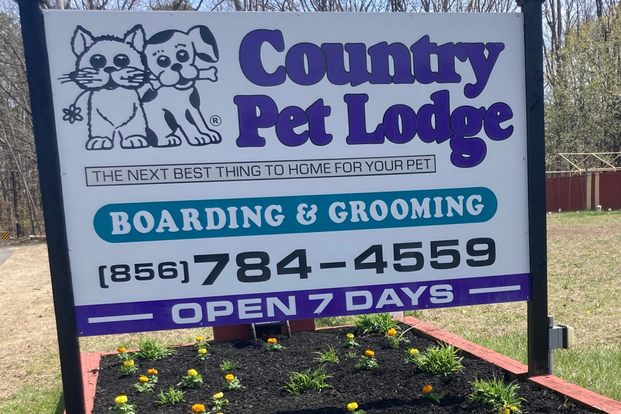 Country Pet Lodge Pet Boarding, Pet Grooming, Dog Daycare Country