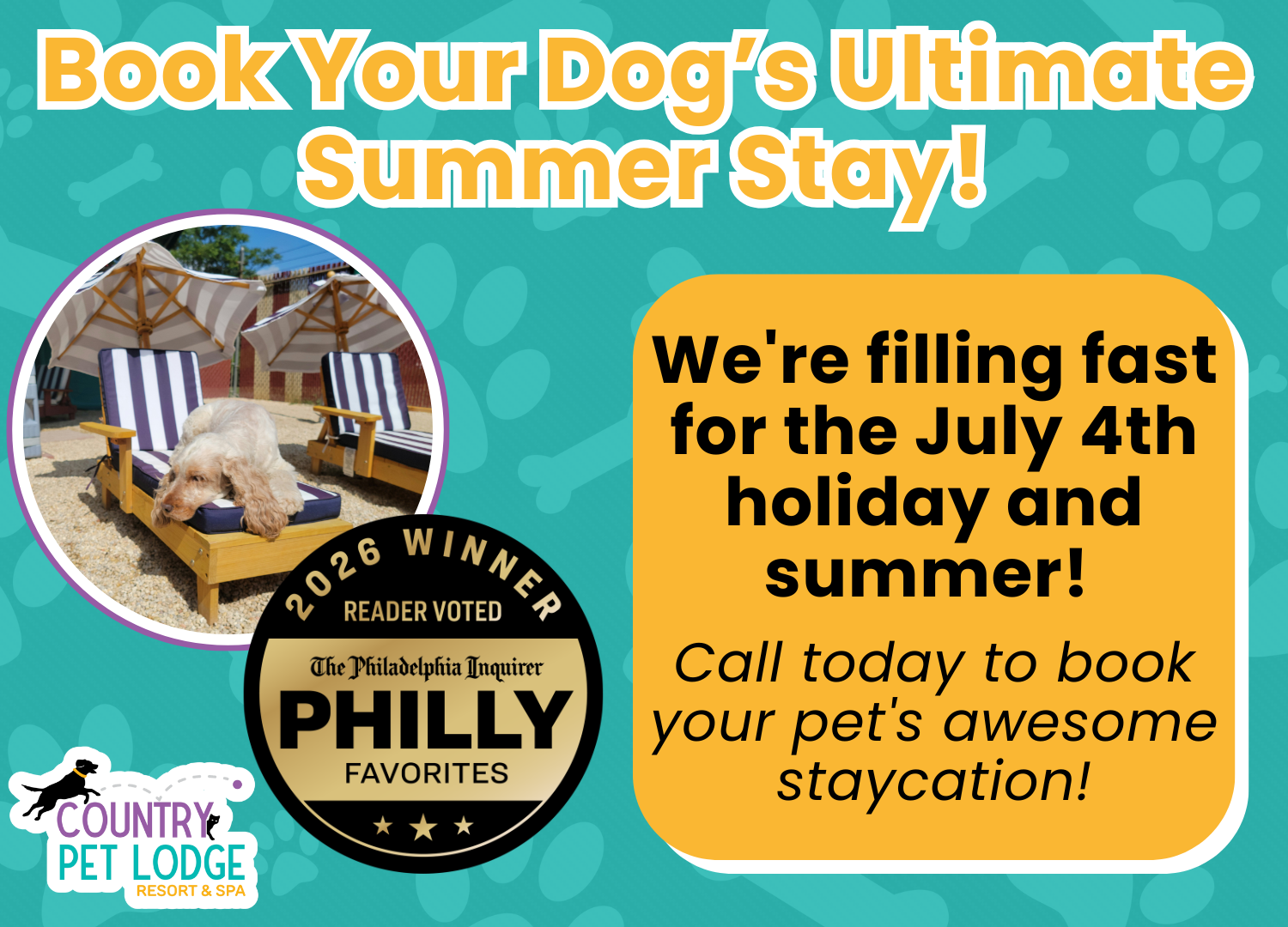 Summer Pop-Up