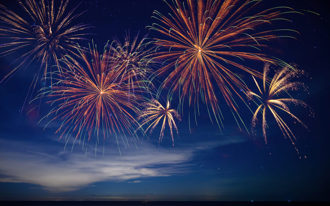 fireworks and pets