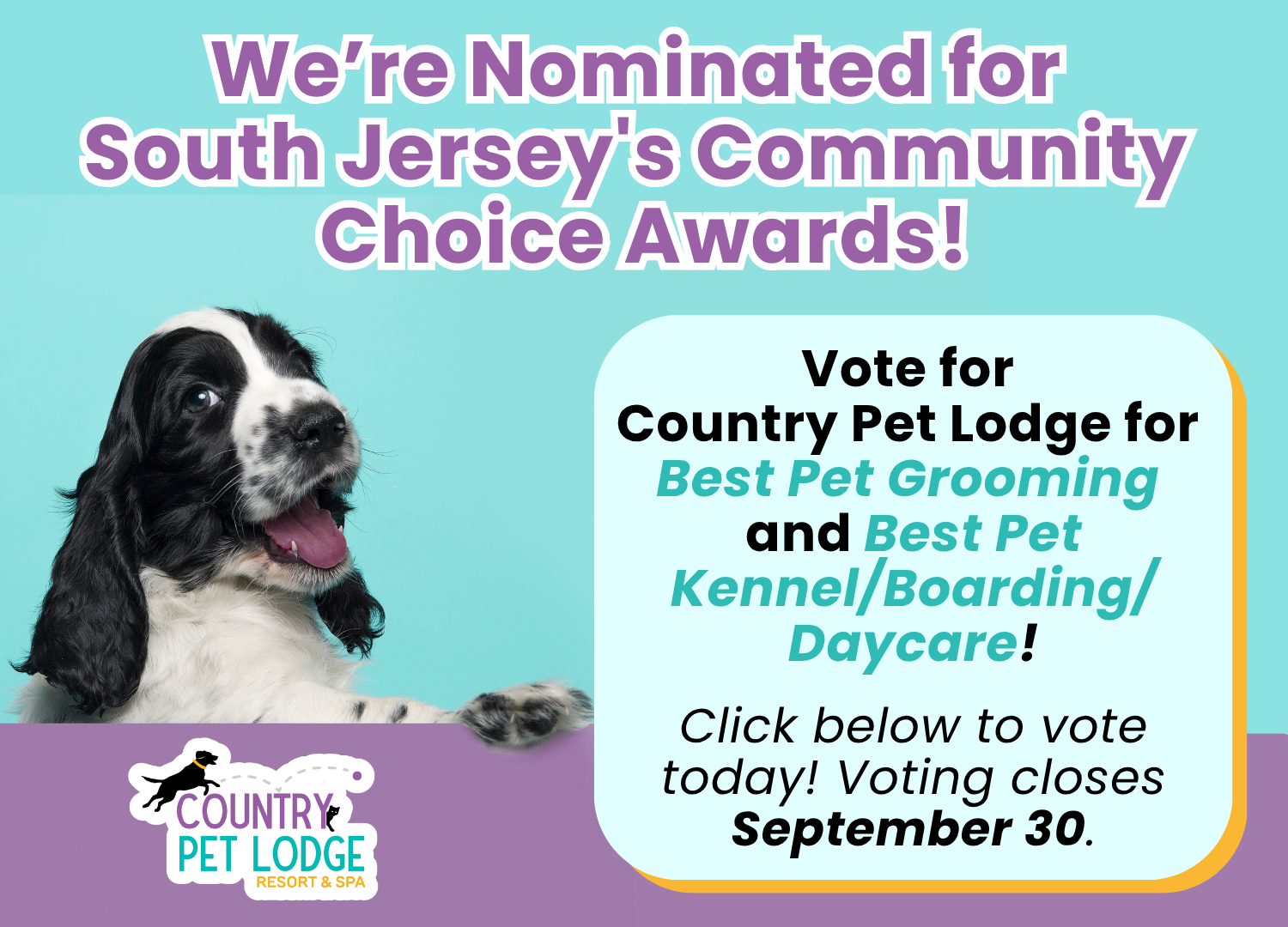 Choice Awards Pop-Up
